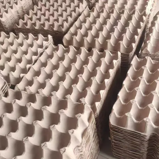 Automatic Rotary Forming Paper Egg Tray Making Machine Price Apple Tray Machine 