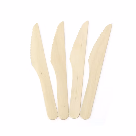 PP Tableware Disposable Airline Napkin Spoon Fork Cutlery Knife Semi