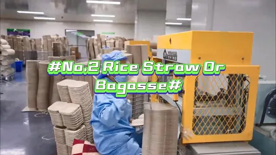 Rice Straw Sugarcane Bagasse Pulp Disposable Cup Paper Tableware Plate Making Machine 